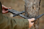 Les avantages de faire élaguer vos arbres par un professionnel